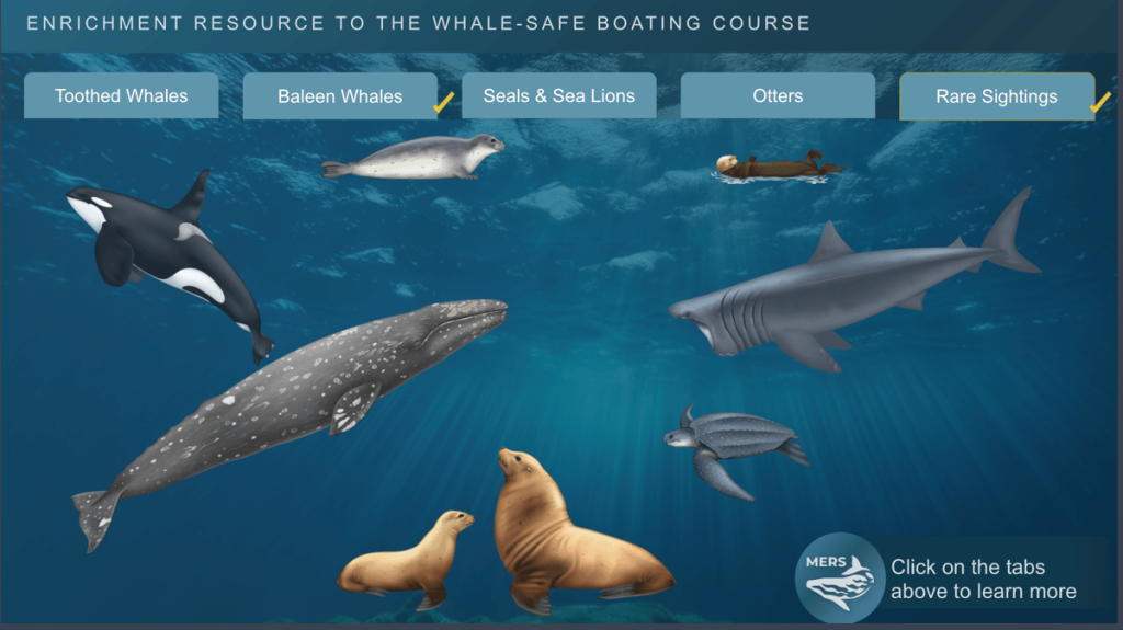 916933 custom site themes id w5WT35DIREeU6zRPWxp4 Screenshot 2026 02 13 at 21.02.39