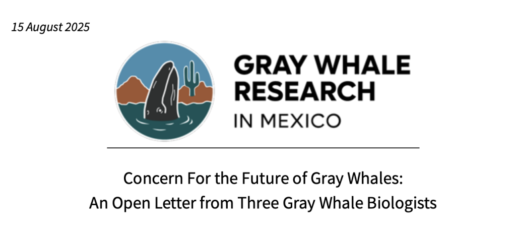 Screenshot 2026 04 24 at 20.53.28