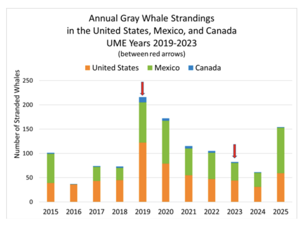 Screenshot 2026 04 24 at 21.04.37